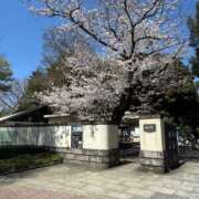 ヒメ日記 2025/04/04 18:22 投稿 辻村七海(つじむらななみ) 東京ヒストリー　秘密の約束