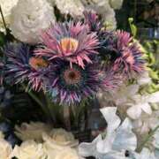 ヒメ日記 2025/04/04 19:03 投稿 辻村七海(つじむらななみ) 東京ヒストリー　秘密の約束