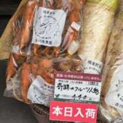 ヒメ日記 2025/04/20 07:12 投稿 辻村七海(つじむらななみ) 東京ヒストリー　秘密の約束