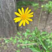 ヒメ日記 2025/04/26 20:22 投稿 辻村七海(つじむらななみ) 東京ヒストリー　秘密の約束