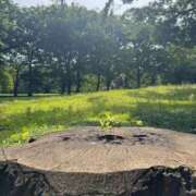 ヒメ日記 2025/07/04 20:52 投稿 辻村七海(つじむらななみ) 東京ヒストリー　秘密の約束