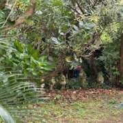 ヒメ日記 2025/08/14 10:22 投稿 辻村七海(つじむらななみ) 東京ヒストリー　秘密の約束