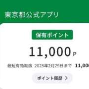 辻村七海(つじむらななみ) やってみた...♡ 東京ヒストリー　秘密の約束