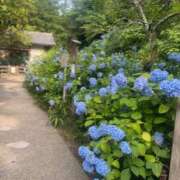 ヒメ日記 2026/06/11 22:02 投稿 辻村七海(つじむらななみ) 東京ヒストリー　秘密の約束