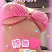 ヒメ日記 2025/03/30 13:37 投稿 高井田まゆり 大阪ぽっちゃり妻 谷九店