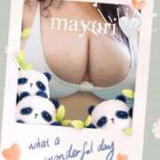 ヒメ日記 2025/04/11 18:44 投稿 高井田まゆり 大阪ぽっちゃり妻 谷九店