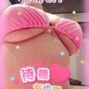 ヒメ日記 2025/07/26 17:19 投稿 高井田まゆり 大阪ぽっちゃり妻 谷九店