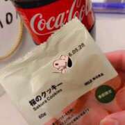 ヒメ日記 2026/02/23 17:35 投稿 える IRIS(岐阜)