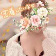 ヒメ日記 2025/04/16 06:14 投稿 みゆ 英乃國屋