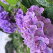 ヒメ日記 2025/07/04 09:12 投稿 佐野ひかり AJ DOLLS(エージェイドールズ)