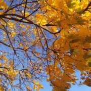 佐野ひかり ひかり元気です❤️‍ AJ DOLLS(エージェイドールズ)