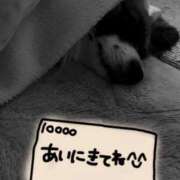 ヒメ日記 2025/02/22 12:09 投稿 辻　なぎ(つじなぎ) 九州熟女　熊本店