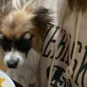 ヒメ日記 2025/03/05 16:19 投稿 辻　なぎ(つじなぎ) 九州熟女　熊本店