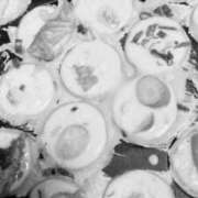 ヒメ日記 2025/03/22 23:09 投稿 辻　なぎ(つじなぎ) 九州熟女　熊本店