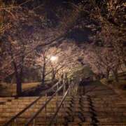 ヒメ日記 2025/03/27 13:29 投稿 辻　なぎ(つじなぎ) 九州熟女　熊本店