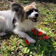 ヒメ日記 2025/04/04 16:56 投稿 辻　なぎ(つじなぎ) 九州熟女　熊本店