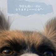 ヒメ日記 2025/04/11 08:19 投稿 辻　なぎ(つじなぎ) 九州熟女　熊本店