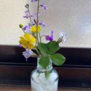 ヒメ日記 2025/04/17 09:34 投稿 辻　なぎ(つじなぎ) 九州熟女　熊本店