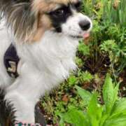 ヒメ日記 2025/04/18 11:09 投稿 辻　なぎ(つじなぎ) 九州熟女　熊本店