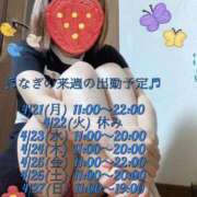 ヒメ日記 2025/04/18 11:59 投稿 辻　なぎ(つじなぎ) 九州熟女　熊本店