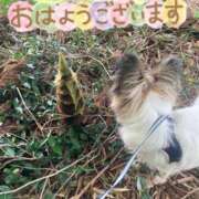 ヒメ日記 2025/04/19 11:19 投稿 辻　なぎ(つじなぎ) 九州熟女　熊本店