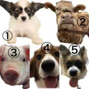 ヒメ日記 2025/04/20 12:29 投稿 辻　なぎ(つじなぎ) 九州熟女　熊本店