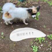 ヒメ日記 2025/04/22 10:54 投稿 辻　なぎ(つじなぎ) 九州熟女　熊本店