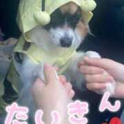 ヒメ日記 2025/04/23 20:09 投稿 辻　なぎ(つじなぎ) 九州熟女　熊本店