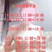 ヒメ日記 2025/04/26 07:49 投稿 辻　なぎ(つじなぎ) 九州熟女　熊本店