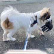 ヒメ日記 2025/05/04 10:59 投稿 辻　なぎ(つじなぎ) 九州熟女　熊本店