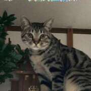 ヒメ日記 2025/05/13 15:09 投稿 辻　なぎ(つじなぎ) 九州熟女　熊本店