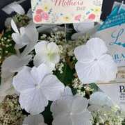 ヒメ日記 2025/05/14 01:49 投稿 辻　なぎ(つじなぎ) 九州熟女　熊本店