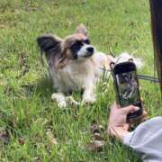 ヒメ日記 2025/05/15 09:00 投稿 辻　なぎ(つじなぎ) 九州熟女　熊本店