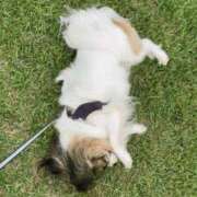 ヒメ日記 2025/05/21 17:38 投稿 辻　なぎ(つじなぎ) 九州熟女　熊本店