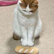 ヒメ日記 2025/05/25 18:19 投稿 辻　なぎ(つじなぎ) 九州熟女　熊本店