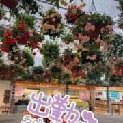 ヒメ日記 2025/06/01 11:19 投稿 辻　なぎ(つじなぎ) 九州熟女　熊本店