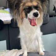 ヒメ日記 2025/06/04 11:09 投稿 辻　なぎ(つじなぎ) 九州熟女　熊本店