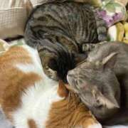 ヒメ日記 2025/06/05 19:54 投稿 辻　なぎ(つじなぎ) 九州熟女　熊本店