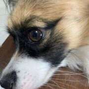 ヒメ日記 2025/06/08 13:49 投稿 辻　なぎ(つじなぎ) 九州熟女　熊本店