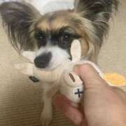 ヒメ日記 2025/06/11 00:20 投稿 辻　なぎ(つじなぎ) 九州熟女　熊本店