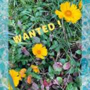 ヒメ日記 2025/06/13 23:19 投稿 辻　なぎ(つじなぎ) 九州熟女　熊本店