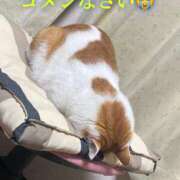 辻　なぎ(つじなぎ) お詫び😭 九州熟女　熊本店