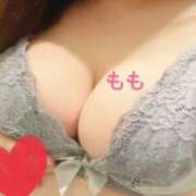 ヒメ日記 2025/03/11 02:43 投稿 もも Club Paradise（クラブパラダイス）