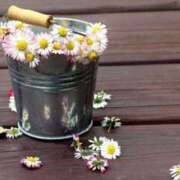 ヒメ日記 2024/12/10 19:48 投稿 宇佐美 西川口デッドボール