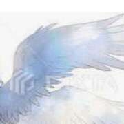 ヒメ日記 2024/12/11 18:08 投稿 宇佐美 西川口デッドボール