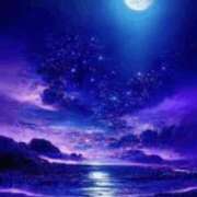 ヒメ日記 2024/12/12 14:38 投稿 宇佐美 西川口デッドボール