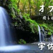 ヒメ日記 2024/12/28 18:08 投稿 宇佐美 西川口デッドボール