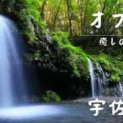 ヒメ日記 2025/03/23 08:58 投稿 宇佐美 西川口デッドボール