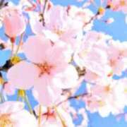 ヒメ日記 2025/03/25 12:51 投稿 宇佐美 西川口デッドボール