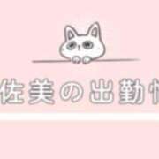 ヒメ日記 2025/04/19 09:55 投稿 宇佐美 西川口デッドボール